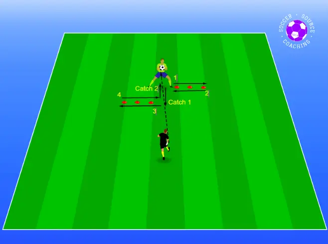 The goalkeeper is shuffling laterally over the 3 cones then catching a ball from the soccer coach